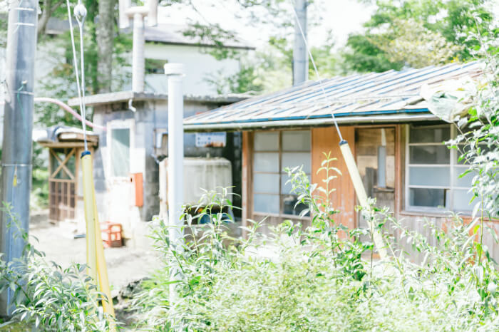 雑草対策に有効な方法をまとめてみた 住まいのコラム 呉 東広島の住宅リフォーム 新築 不動産 オオサワ創研